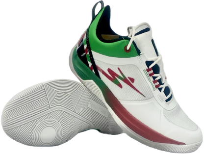 Fencing Star Classical Fencing Shoes (Tempest Series)